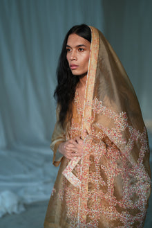  Organza Embroidered Stole